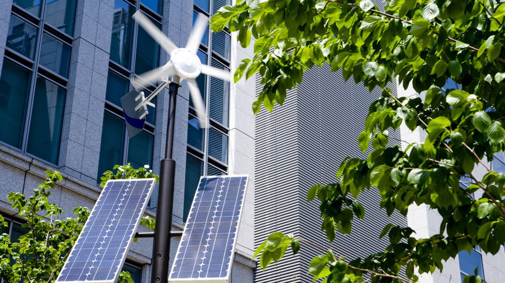 Support For Your Business Reduce Carbon Emissions Option 2